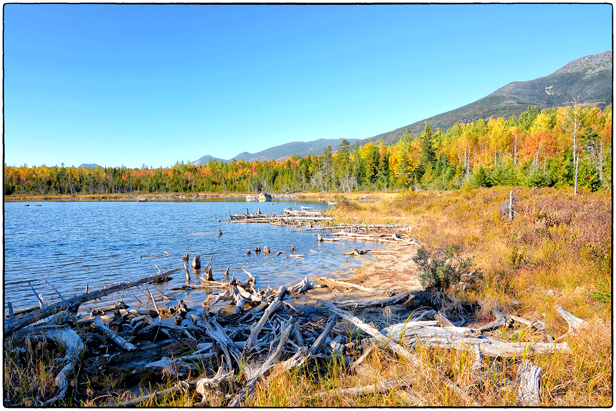 StumpPondBaxterStatePark Our Epic Journey