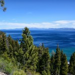 Pine trees around Lake Tahoe  