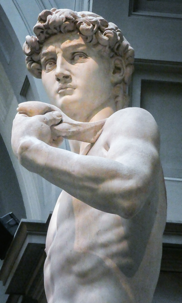 Statue Of David Details
