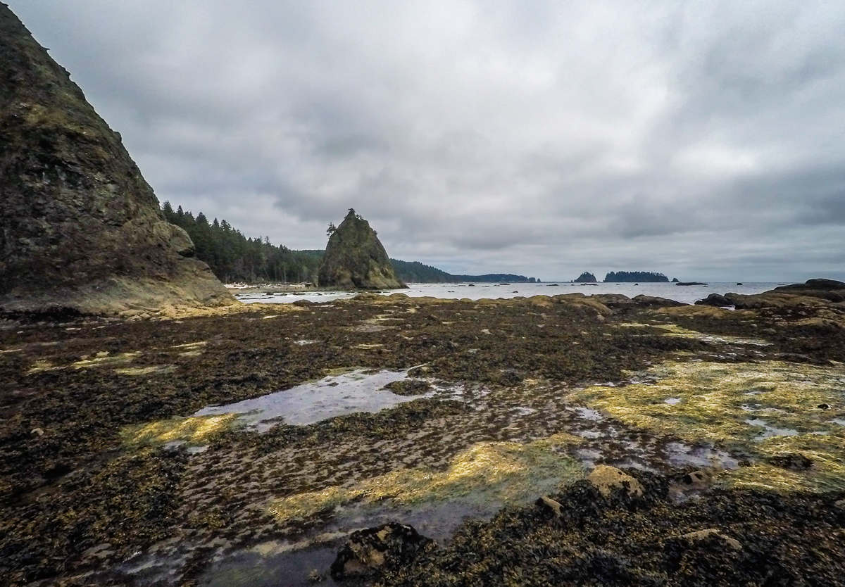 Rialto Beach-3 | Our Epic Journey