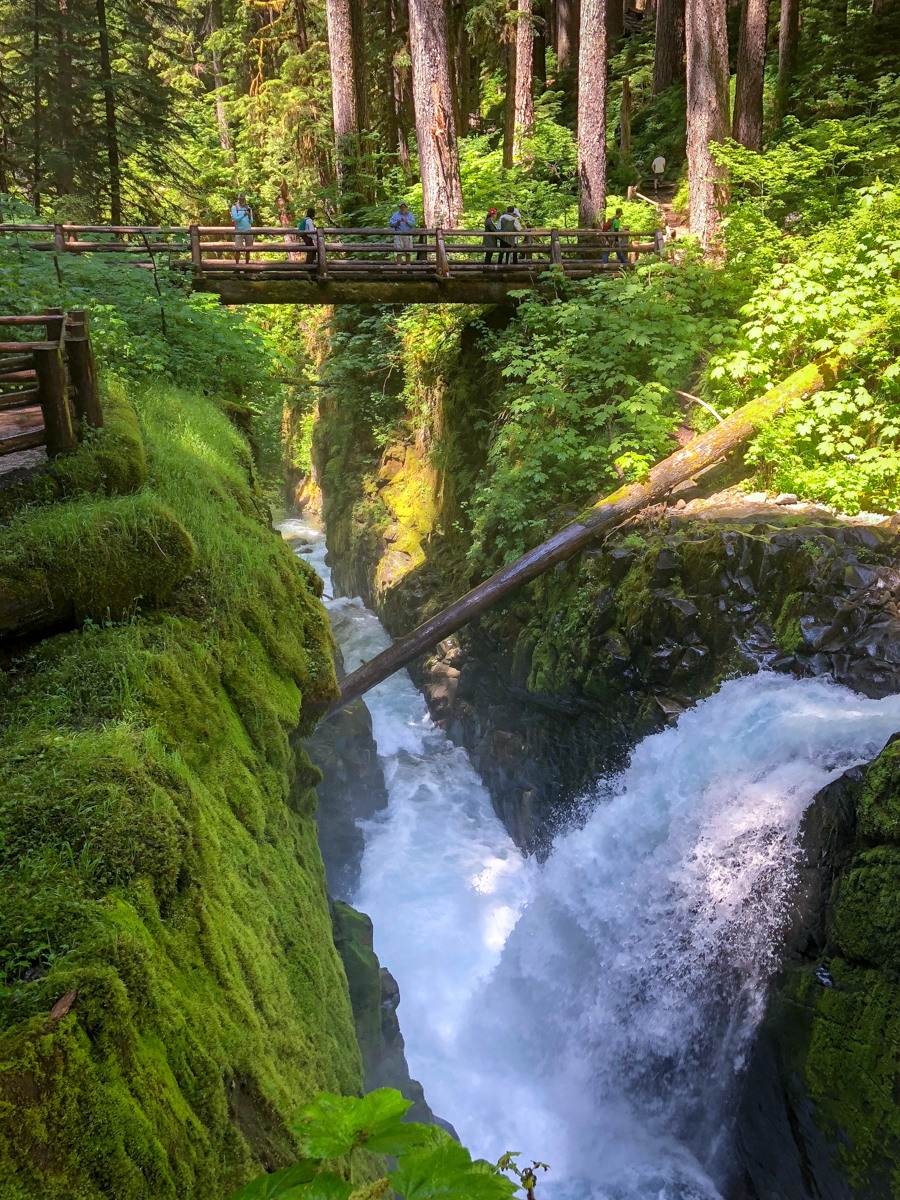 Sol Duc Falls-7 | Our Epic Journey