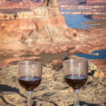 Two wine glasses at the Alstrom Point