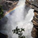 A rainbow at Athabasca Falls