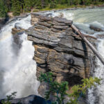 A log stuck to a rock at Athabasca Falls