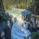 The Sunwapta Falls