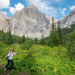 A woman doing the Emerald Basin hike