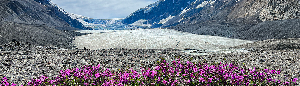 Icefield Parkway