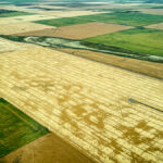 Aerial view of a field