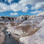 A person walking across the Petrified Forest