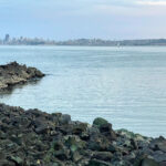 A rocky shore in San Francisco 